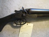 The Continental Hammer gun, 10ga, 32" Damascus barrels