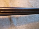 The Continental Hammer gun, 10ga, 32" Damascus barrels - 8 of 20
