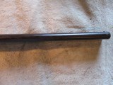 The Continental Hammer gun, 10ga, 32" Damascus barrels - 3 of 20