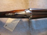 Colt 1883 Side by Side shotgun, 12ga, 30" Made 1890, Nice! - 7 of 22