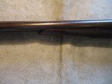 Colt 1883 Side by Side shotgun, 12ga, 30" Made 1890, Nice! - 16 of 22