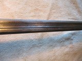Belgium German Black Power Muzzle Load 16ga Shotgun, late 1800 - 8 of 21