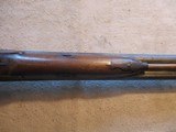 Belgium German Black Power Muzzle Load 16ga Shotgun, late 1800 - 14 of 21