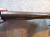 Chiappa M1-9 M1 9 9mm Carbine, Wood stock, NIB 500.136 - 6 of 17