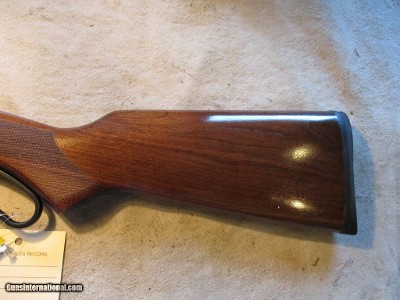 Chiappa LA322 Take Down Deluxe, 22LR, 18