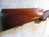 Steyer Model 1950, 257 Roberts, Full Mannlicher stock! - 2 of 19