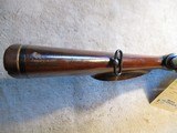 Steyer Model 1950, 257 Roberts, Full Mannlicher stock! - 10 of 19