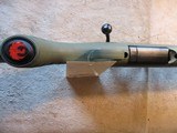Ruger American Rifle, 204 Ruger, 22