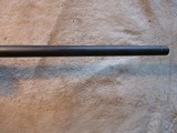 Ruger American Rifle, 204 Ruger, 22