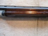 Remington 1100 12ga, 28