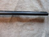 Remington 1100 12ga, 28