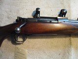 Winchester Model 70 Standard Grade, 257 Roberts, Pre 1964, 1950 - 1 of 17