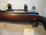 Winchester Model 70 Standard Grade, 257 Roberts, Pre 1964, 1950 - 15 of 17