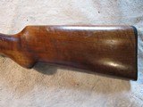 Remington 1894 12ga, 30