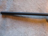 Ruger American Rifle, 22-250, 22