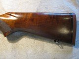 Winchester 70 Pre 1964, 300 H&H Mag, Standard 26