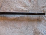 Remington 241 Speedmaster, 22 SHORT, Nice rifle! - 13 of 19