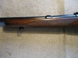 Winchester 70 Standard Grade, 22 Hornet rechambered to 222 Rem 1951 - 16 of 17