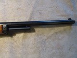 Marlin 1895 45/70, 22