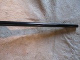 Ruger M77 77 Mark 2, 7mm Remington Mag, 2001, Rings - 9 of 18