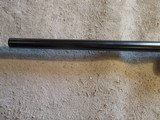 Ruger 77/22 22 Hornet, 20