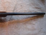 Ruger 77/22 22 Hornet, 20