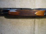 Ruger Red Label, Redlabel, 20ga, 26" MOD/FULL made in 1979, CLEAN! - 17 of 21