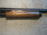 Remington 870 Express Laminated stock 20ga, 3
