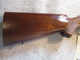 Ruger M77 77 Tang Safety 25-06, Rings, Standard Weight Barrel 1975 - 2 of 22