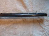 Remington 1100 12ga, 28