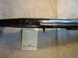 Remington 1100 12ga, 25