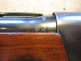 Remington 1100 12ga, 25