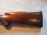 Ruger M77 77, Made 1983, 243 Winchester, 22