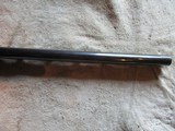 Remington 1100 12ga, 25