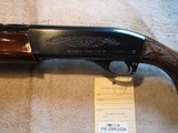 Remington 1100 12ga, 25