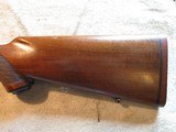 Ruger M77 77, Made 1988, 243 Winchester Tang Safety W/ rings - 15 of 20