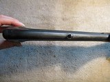 Ruger 77/17, 17 HMR, 16.5