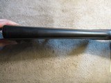 Ruger 77/17, 17 HMR, 16.5