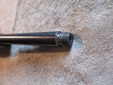 Ruger 77/17, 17 HMR, 16.5