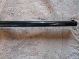 Remington 1100 12ga, 28