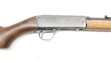 Remington 24, 22LR, 21