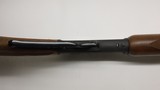 Marlin 1895 45/70, 22