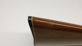 Remington 1100 12ga, 28
