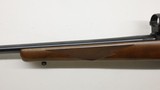 Ruger 77/22 22 Win Mag, 20