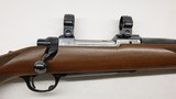 Ruger M77 77 Tang Safety 243 Winchester Rings Standard Weight 1986 - 1 of 21