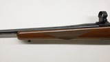 Ruger M77 77, 243 Win, 1979 Red pad Tang Safety W/ Rings - 18 of 22