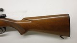CZ 550, 243 Winchester, 24" barrel, with rings and set trigger - 21 of 23