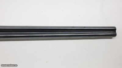 Zabala Sidelock, 12ga, 28