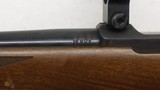 Ruger 77/17, 17 Hornet 22