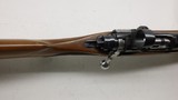 Ruger M77 77, Made 2001, W/ RIngs, 243 Winchester, 22" barrel - 10 of 22